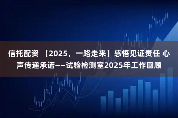 信托配资 【2025，一路走来】感悟见证责任 心声传递承诺——试验检测室2025年工作回顾